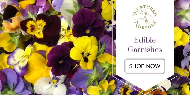 Nurtured in Norfolk Edible Flower Garnishes